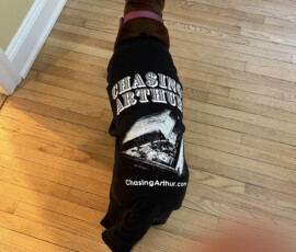 Hazel the Dog Rocky Pt NY